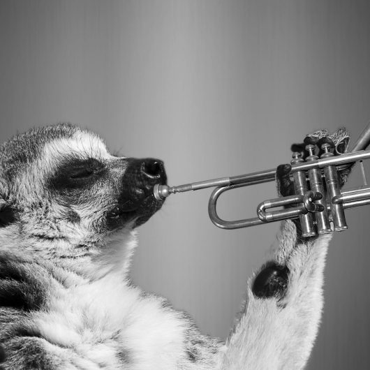 Trumpet Lessons
